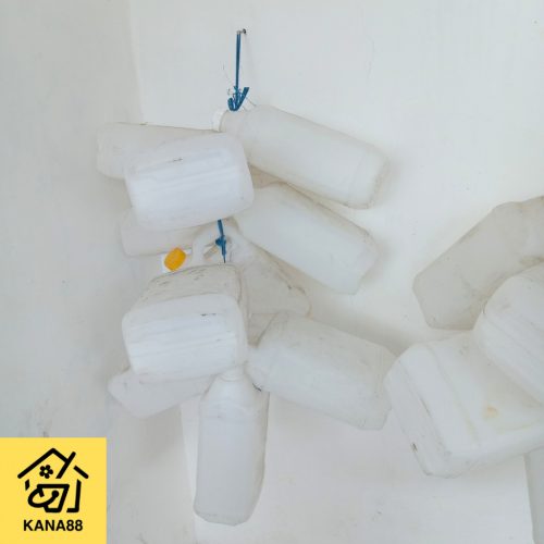 Jerigen Kosong 5 Liter Bekas Dengan Tutup Plastik Murah