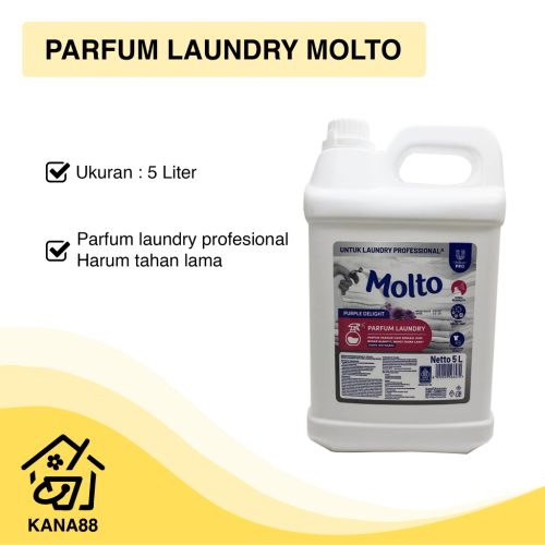 Parfum Laundry Molto Professional Jerigen 5 Liter Pengharum Pewangi Pakaian Laundry