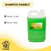 Shampoo Mandi Dandelion Jerigen 5 Liter Sampo Rambut Sissy